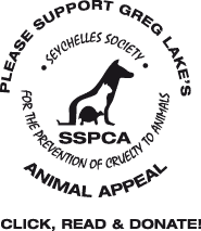 Large logo