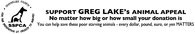 Large Banner