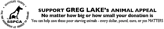 Medium-Small Banner