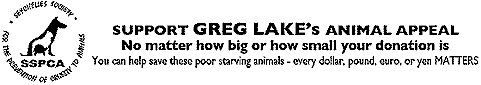 Small Banner