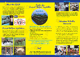 Click to read page 2 of a PDF of who we are and what we do
